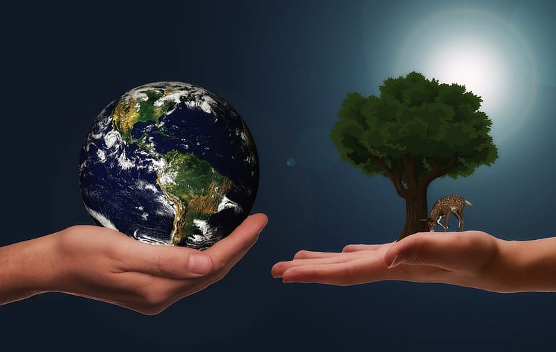 Hands Earth Next Generation  - geralt / Pixabay
