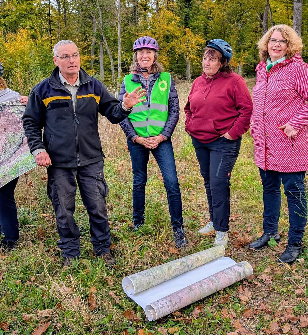 Wald rund um Östringen